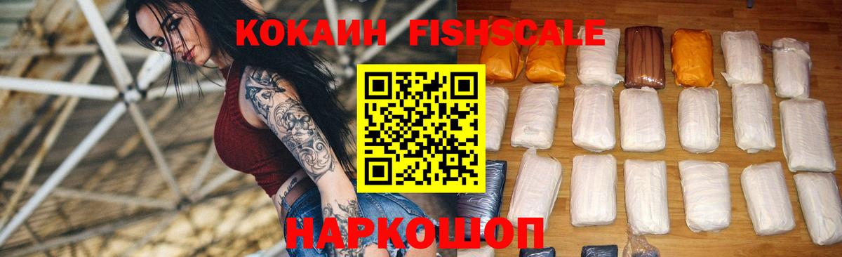 купить закладку  Вход с VPN  Киселёвск  COCAIN 98%  COCAIN Fish Scale 