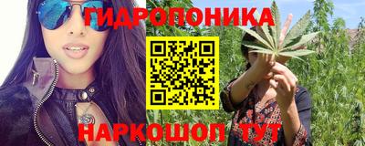 соль ск Краснодар