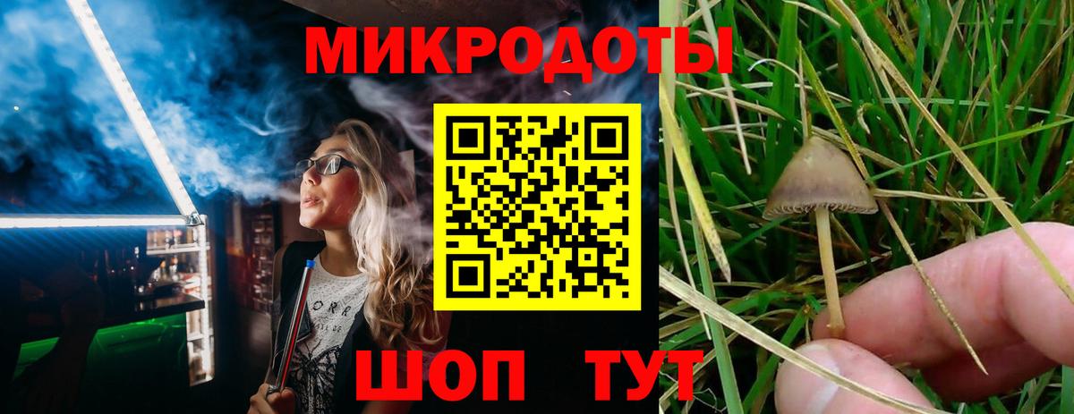 Галлюциногенные грибы мицелий  Вход с VPN  Галлюциногенные грибы MAGIC MUSHROOMS  Киселёвск 
