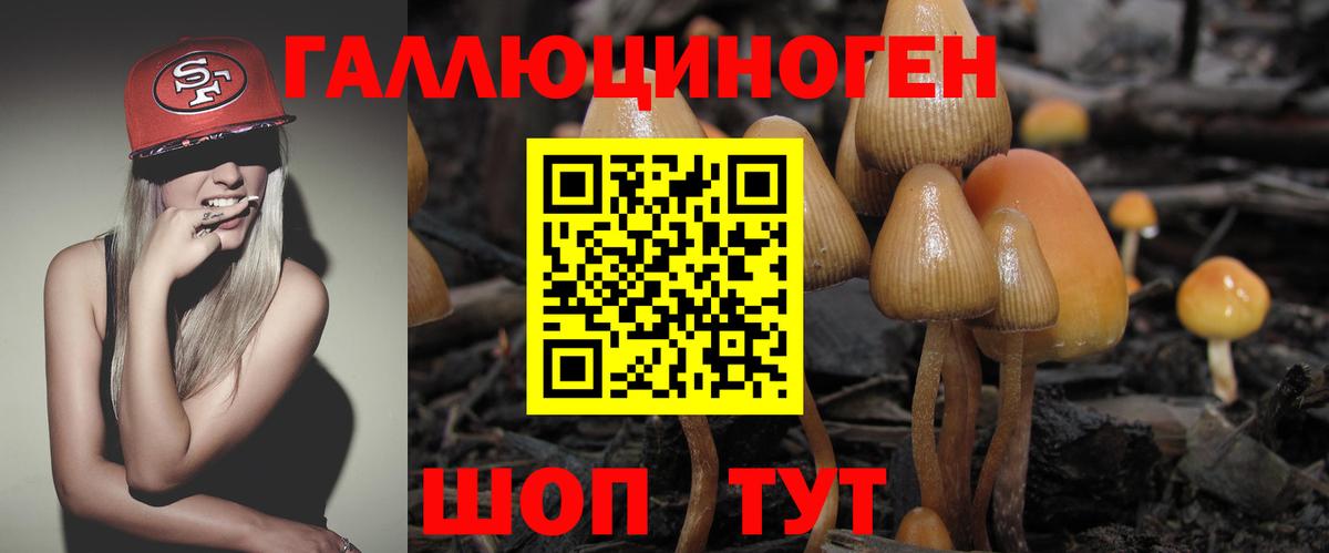 Галлюциногенные грибы прущие грибы Киселёвск